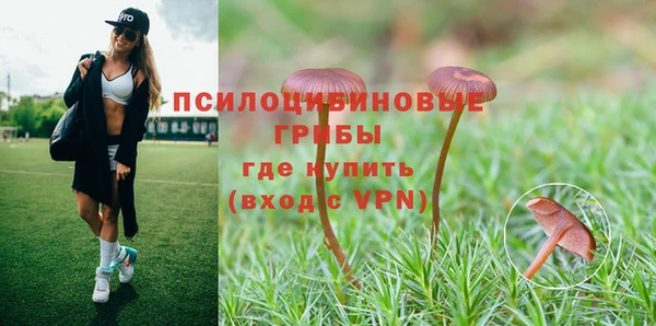 дживик Наволоки