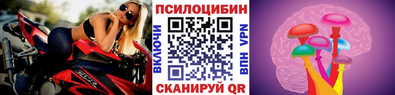 MEGA зеркало купить наркоту Пестово Псилоцибиновые грибы прущие грибы